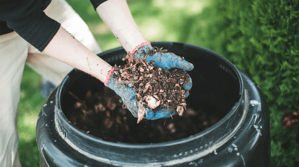 Performing Composting At The Right Time
