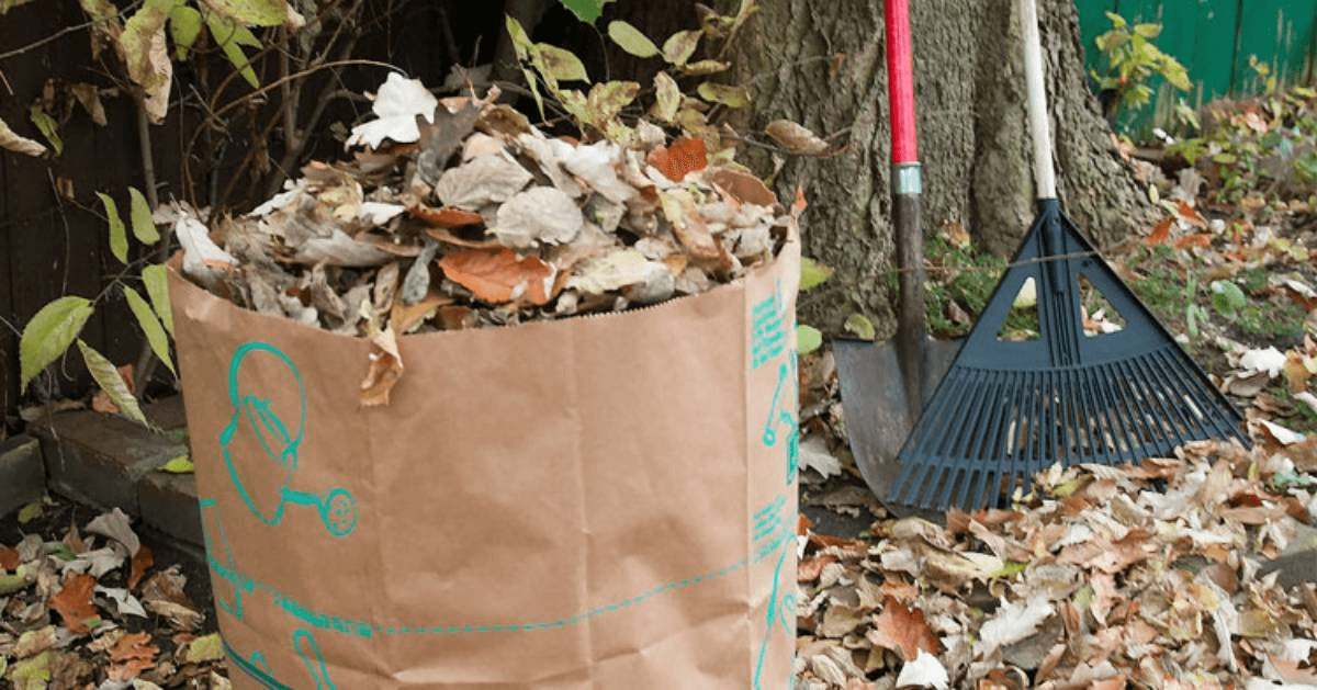 Can I Put Yard Waste In Trash Bags