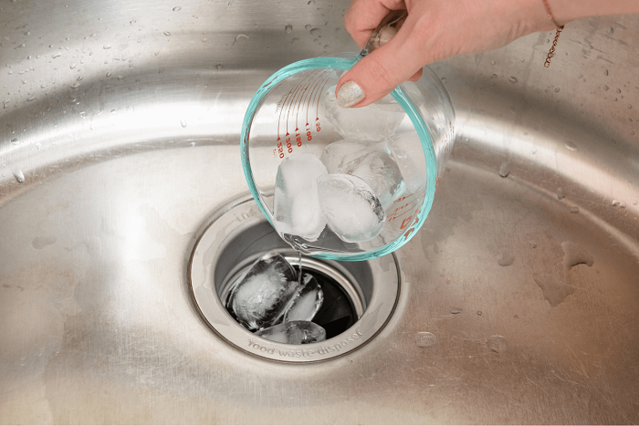 A Guide To Maintaining Your Garbage Disposal