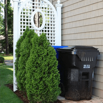 Branches And Trees May Obscure Your Trash Cans