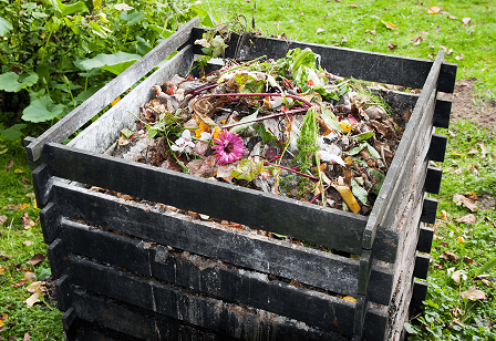 Guide To Composting Dead Animals In Yard