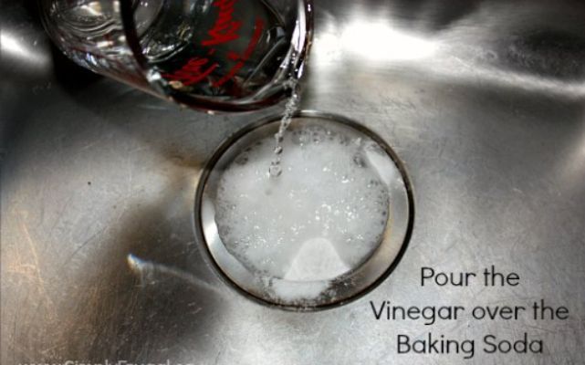 Pour Vinegar Only Into the Drain