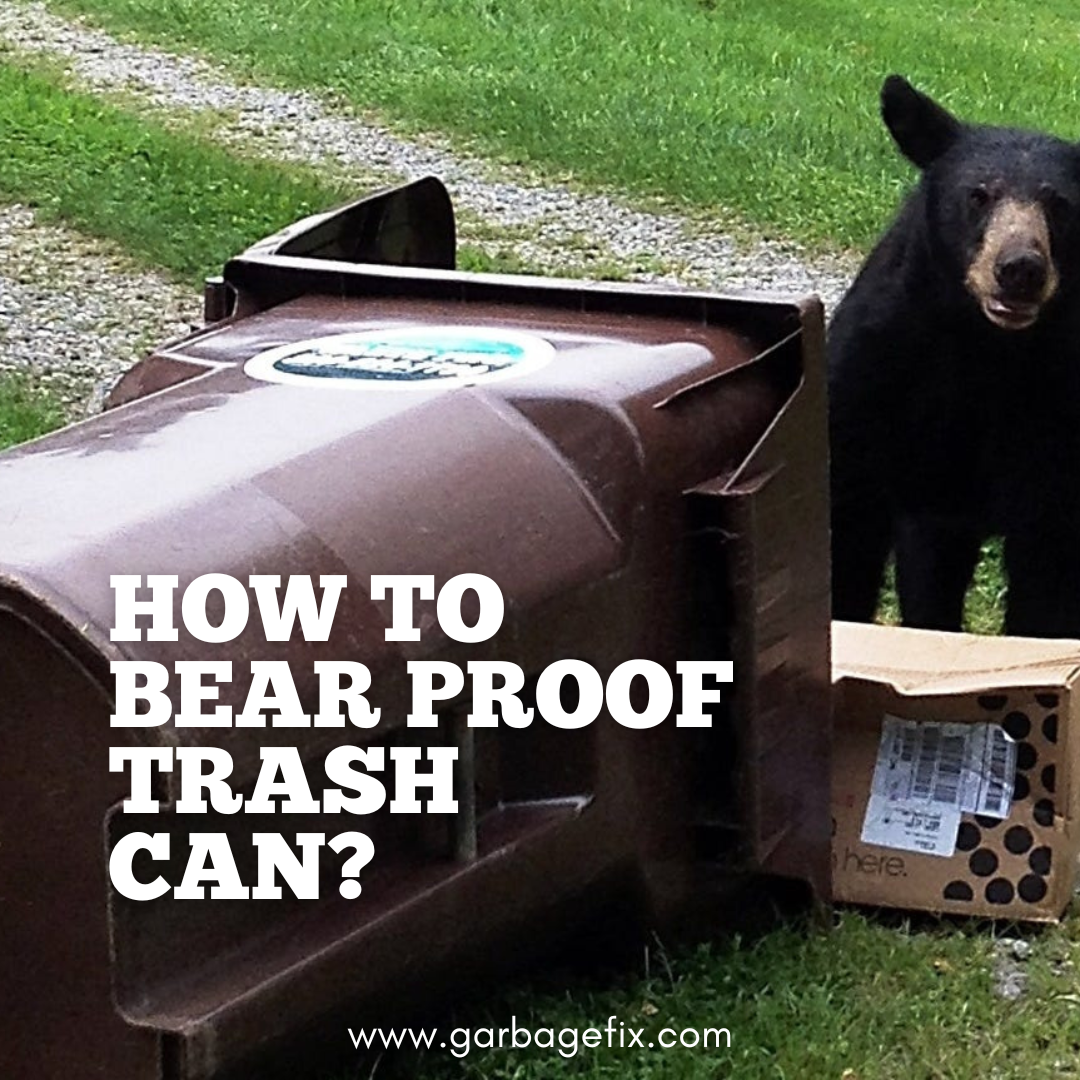 What Does “Bear-Proof” Actually Mean? – BearSaver