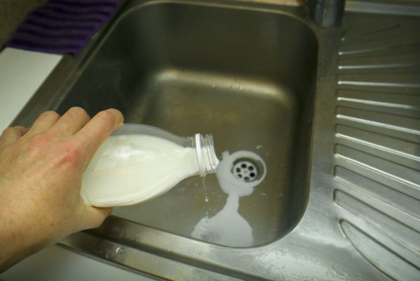 How To Dispose Of Spoiled Milk? - Eco-Friendly Ways