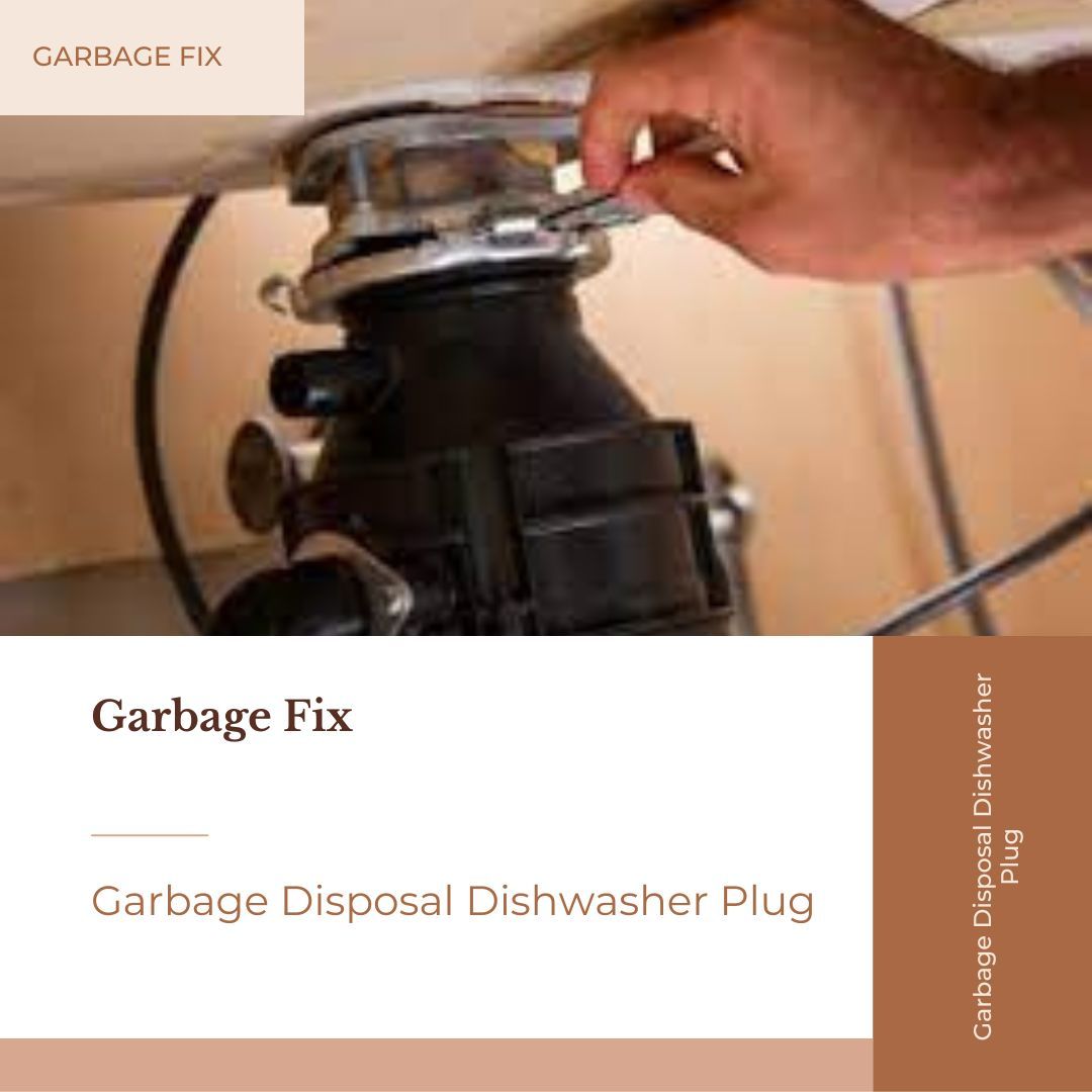 Garbage Disposal Dishwasher Plug