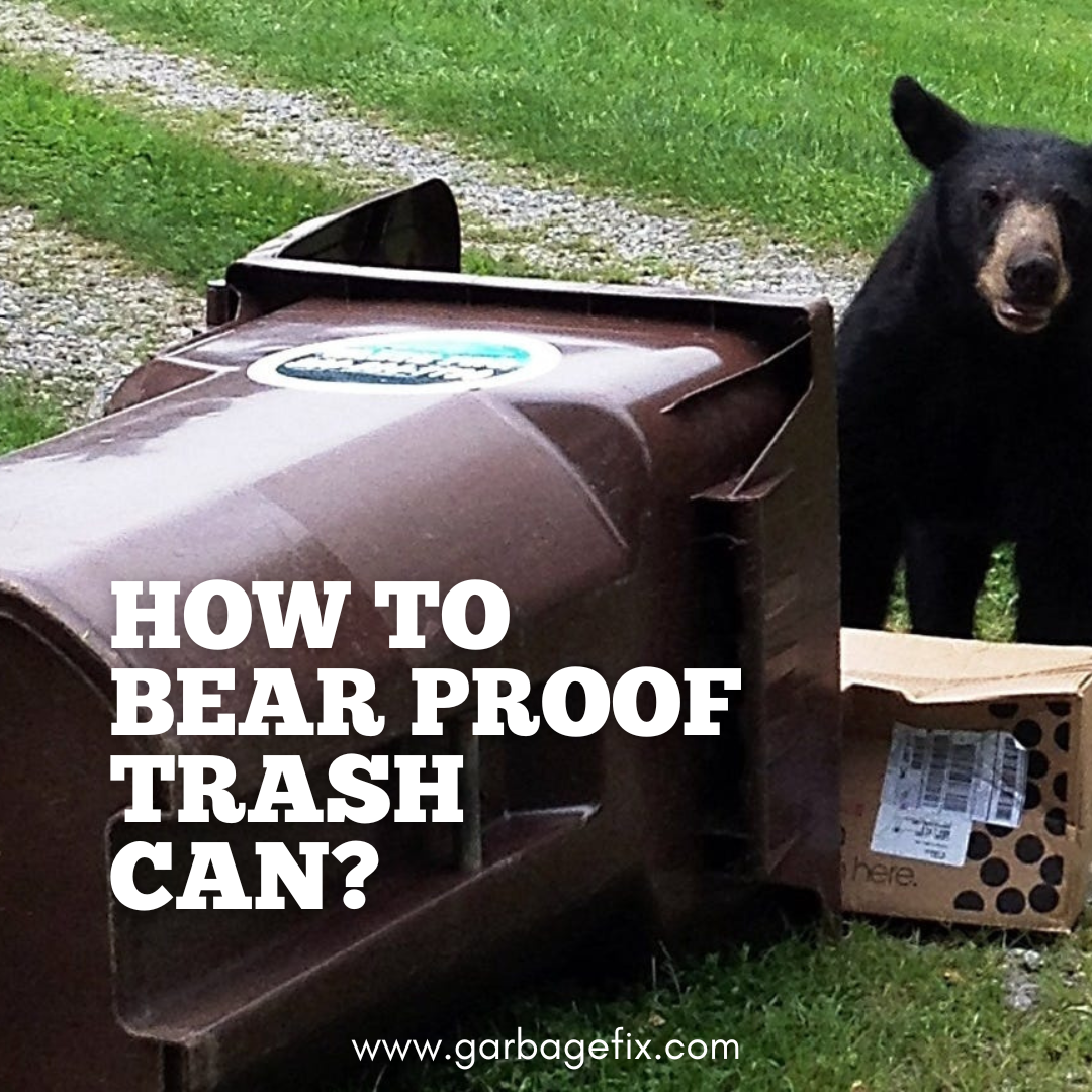 How To Bear Proof Trash Can? 